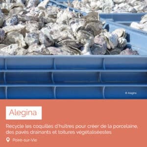 Alegina entreprise qui recycle des coquilles d'huîtres