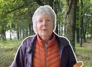 Cueillette champignons