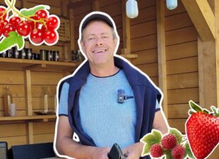 Cueillette Fruits Manodelys