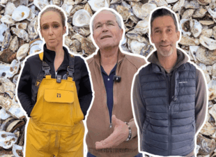 pave permeable coquille huitres