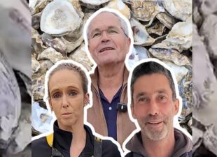 coquille huitre recyclage