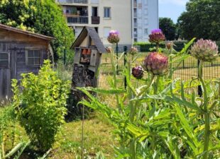 potager Fontenay Vendée
